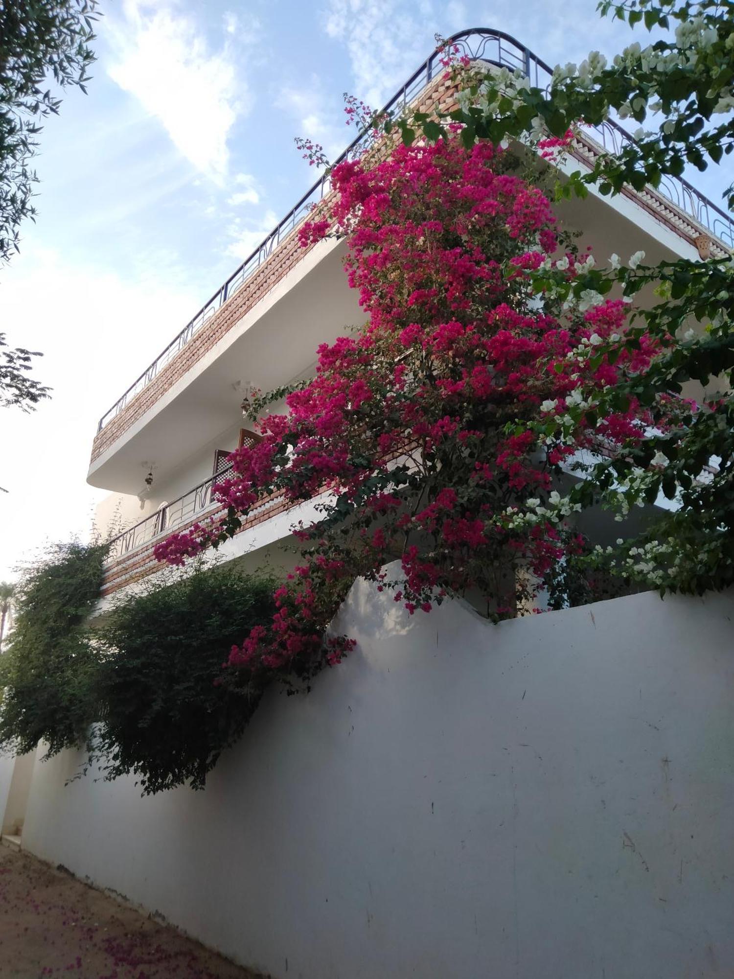 Villa Quiet Place Luxor Exteriér fotografie