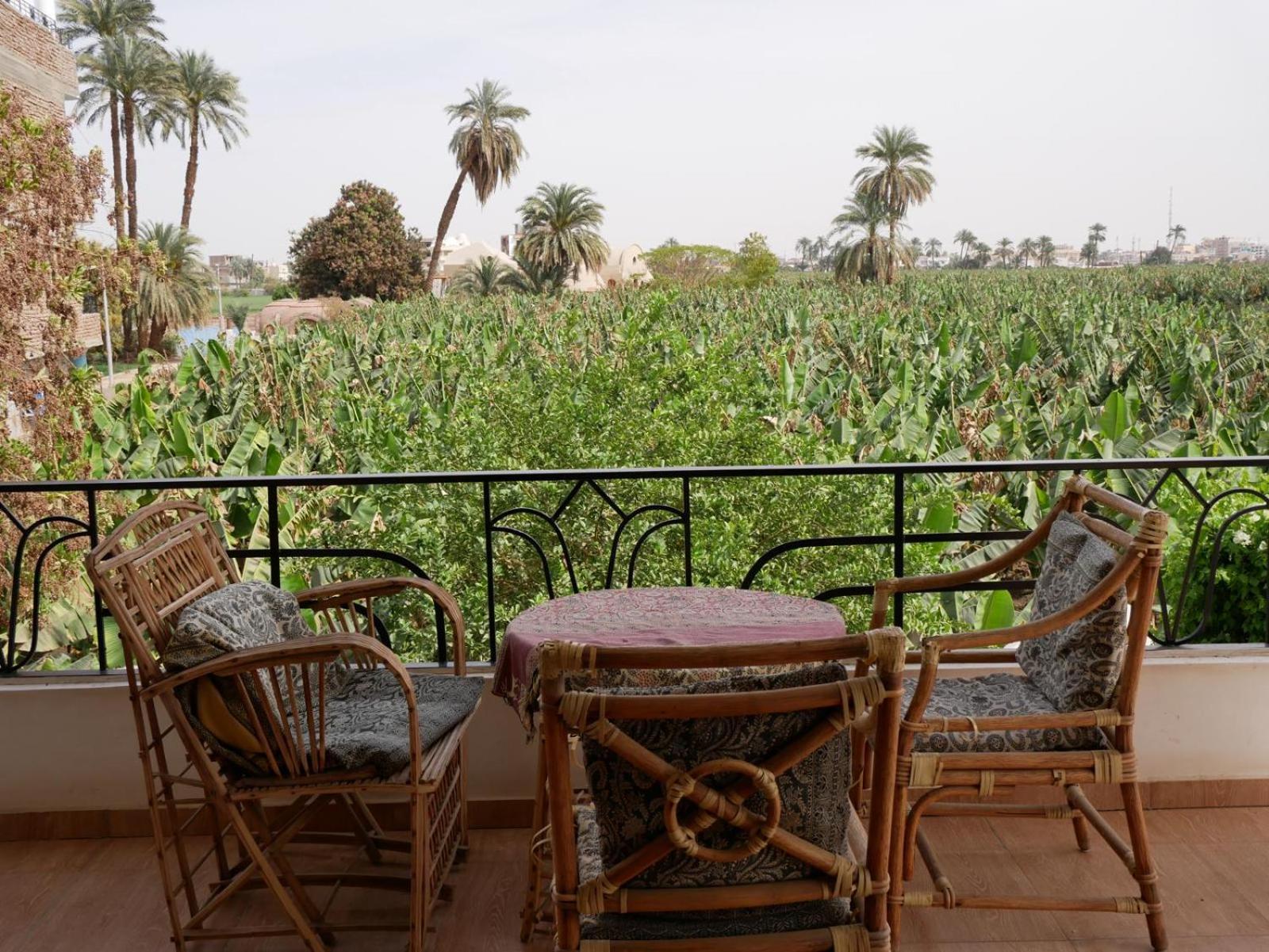 Villa Quiet Place Luxor Exteriér fotografie